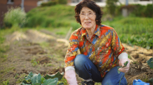 Secrets of Longevity: Unveiling 3 Lifestyle Pillars of Ogimi, Japan