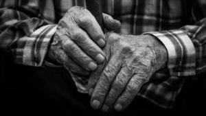 AI Chatbot Entices Elderly Man to Tragic NYC Trip: Family's Warning Unheeded