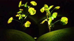 Glowing Plants Inspired by 'Avatar' Offer Sustainable Lighting Solution for Homes and Cities