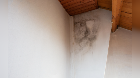 Mold growth in damp areas can cause health problems.