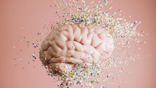 Brain study reveals link to criminal behavior