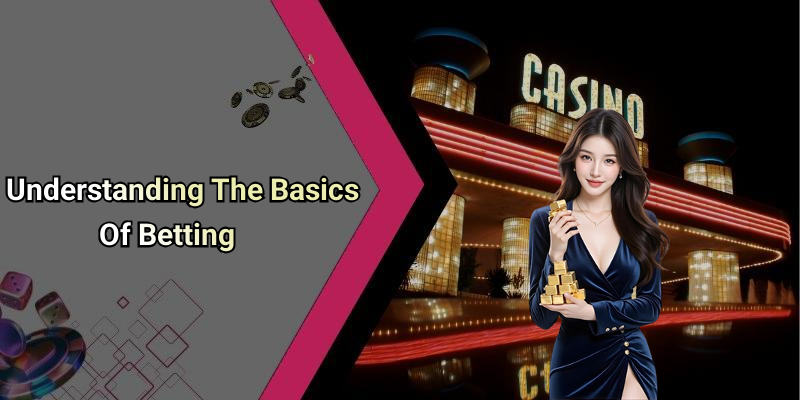 Understanding The Basics Of Betting
