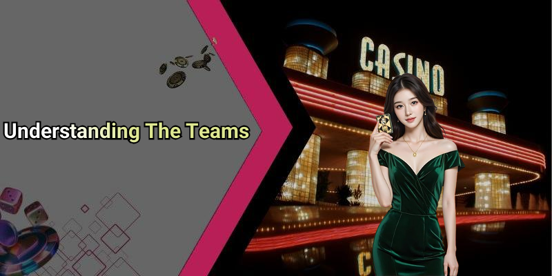 Understanding The Teams