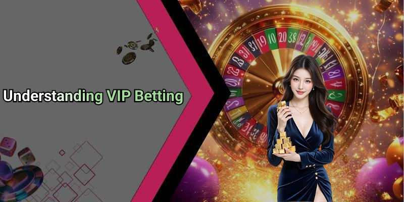 Understanding VIP Betting