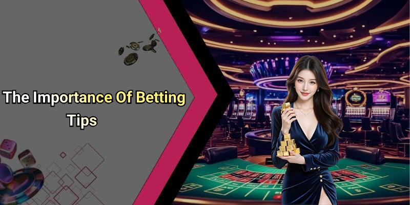 The Importance Of Betting Tips